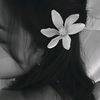 viani_248