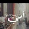 user6684009804774