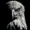 soleman_gre
