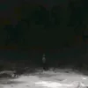 unavailably_stupid