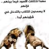 user3212619057014