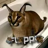 poma_owq