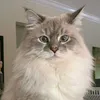 m__tt02