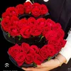 somayasadat8
