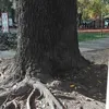 massimomanna93
