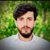 arif.kashmiree