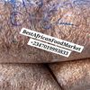 africanseafoodaffairs