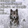 el_solitario181