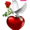 rana.g84568