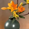 phan.ngh60