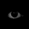 fisch_see22