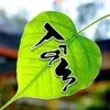 thehungnguyen780