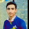 habib.shiran