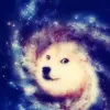 dogegalaxy2