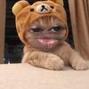 minimi_theofficial