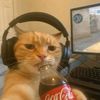 cakcehhhsukaaaturuuu12