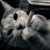 fnaff_loverrrr