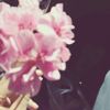 babysyha1