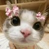 aisha.epa