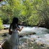 _alinna_tn