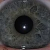 emil_engstr0m