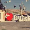 duhoki034