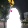 trisha52524