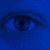kolip_8642