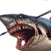 sea1blue2shark0