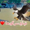 msalehmsaleh33