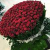 user8470172530272