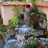mounirmohammed493