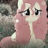 hazel_444.0