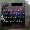 shahzad_ali9266_