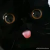 sidbfazt7sx