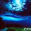 hiwarashid85