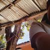 dilciamunguia6