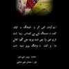 _muhsin_khan_07