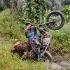 Buruh sawit