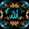 khalidlamlih513