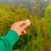 _eliffbrn_