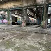 fanatyk_kks_lech