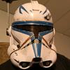 starwarsinwar501st