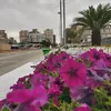 fatimkxsdct