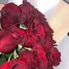 shanie_573