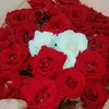 nadia1234567842