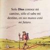 selvingeovanijor