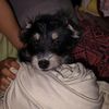 ana_sofia7271