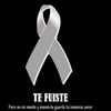 esterpalacios205