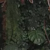 deeviind_
